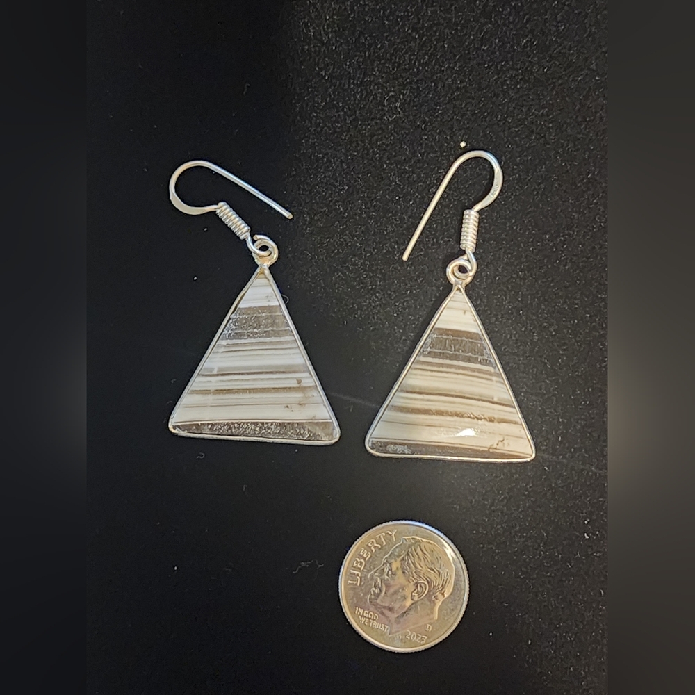Zebra Calcite Earrings ♥️
